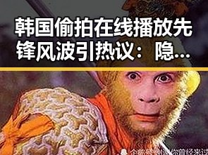 韩国偷拍在线播放先锋风波引热议:隐私边界何在?