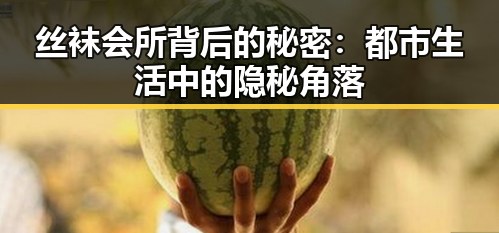 丝袜会所背后的秘密：都市生活中的隐秘角落