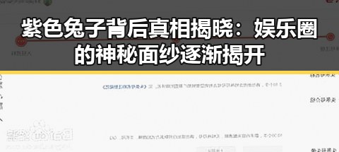 紫色兔子背后真相揭晓：娱乐圈的神秘面纱逐渐揭开