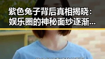紫色兔子背后真相揭晓:娱乐圈的神秘面纱逐渐揭开