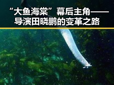 “大鱼海棠”幕后主角——导演田晓鹏的变革之路