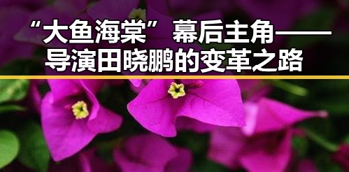 “大鱼海棠”幕后主角——导演田晓鹏的变革之路